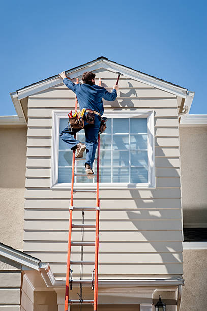 Best Stone Veneer Siding  in Fennimore, WI